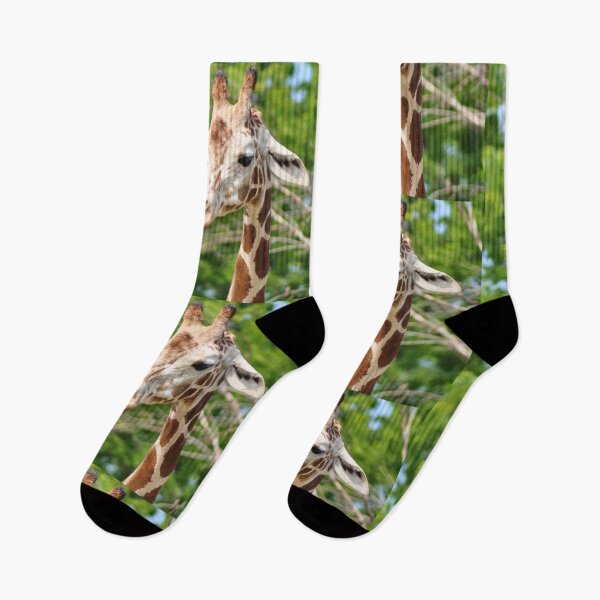 Item preview, Northern Giraffe at the Chicago Zoo  designed and sold by DesignMore21.