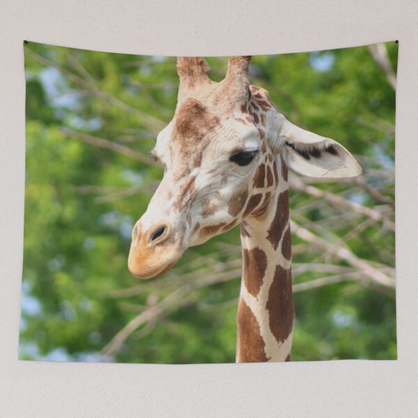 Item preview, Northern Giraffe at the Chicago Zoo  designed and sold by DesignMore21.