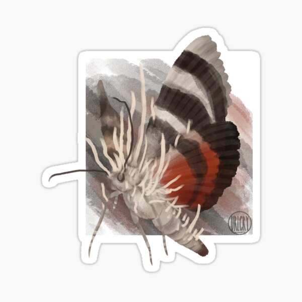 Moth Cordyceps Sticker