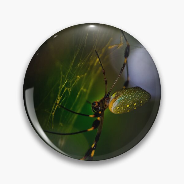 Item preview, Beauty On The Real Web designed and sold by alabca.