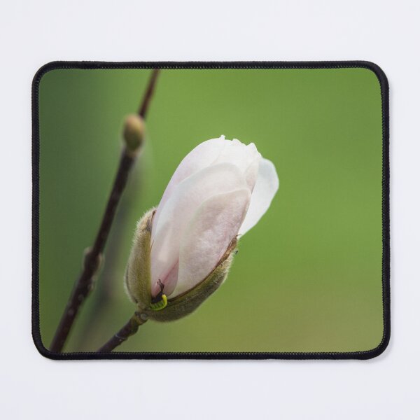 Item preview, Single Merrill Bud designed and sold by mljdwhite.