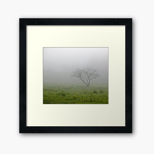 Item preview, Misty Morning designed and sold by bigbear.