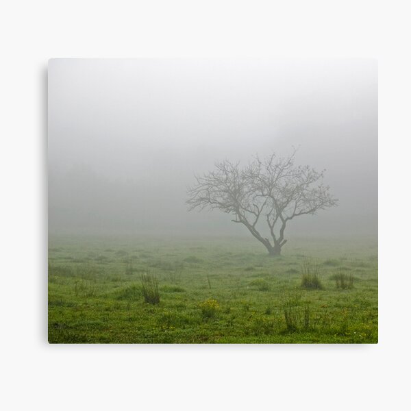 Item preview, Misty Morning designed and sold by bigbear.
