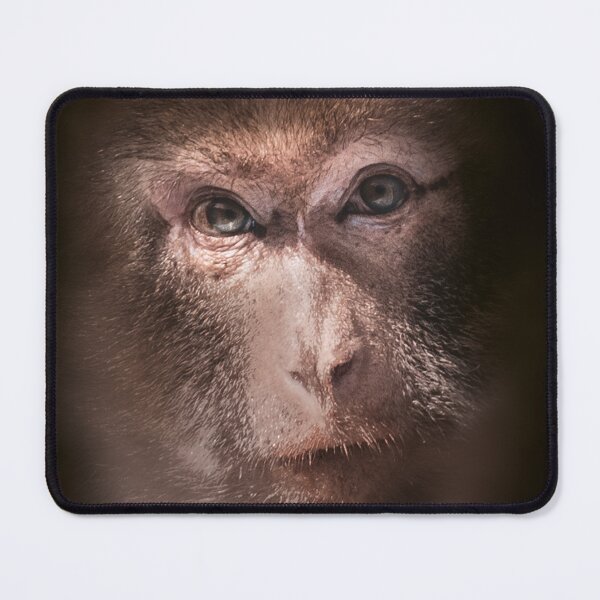 Item preview, Portrait of a Barbary macaque designed and sold by OskiOnTour.