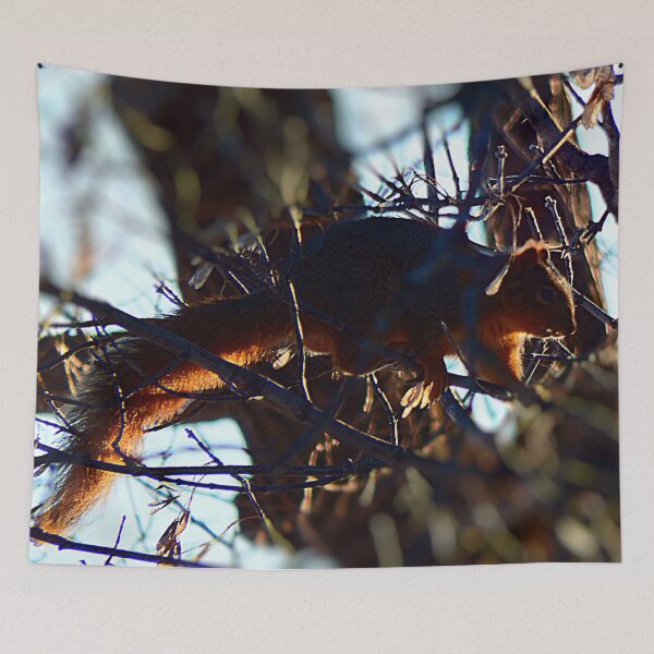 Item preview, Sqirrel in Tree designed and sold by Nicole Kiefer.