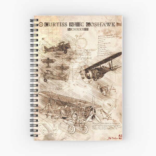 Aperçu de l'œuvre Da Vinci Style Sketch Art, Curtiss Goshawk, WWII Fighter Collection créée et vendue par BWstudios.