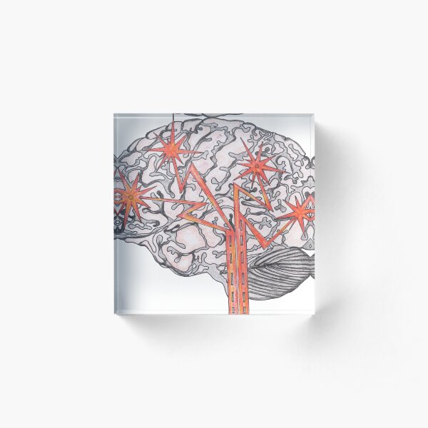 Brain Plasticity Acrylic Block
