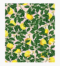 Lemonade II #redbubble #decor #buyart Photographic Print