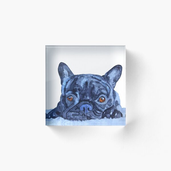 How cute am I? Acrylic Block
