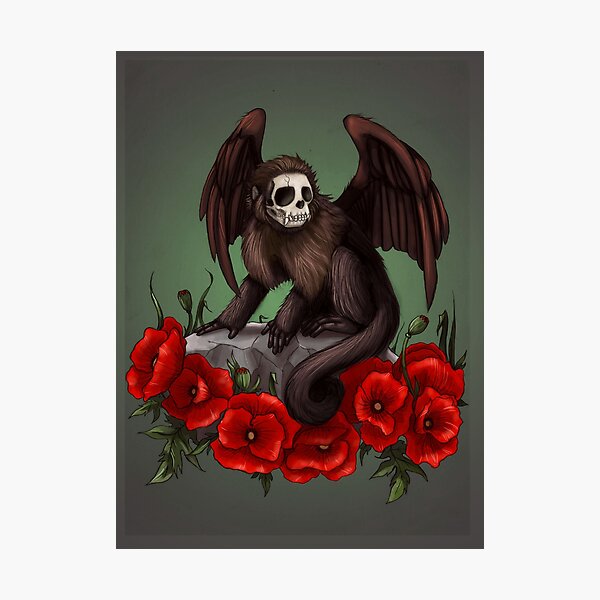 Flying Monkey Photographic Print