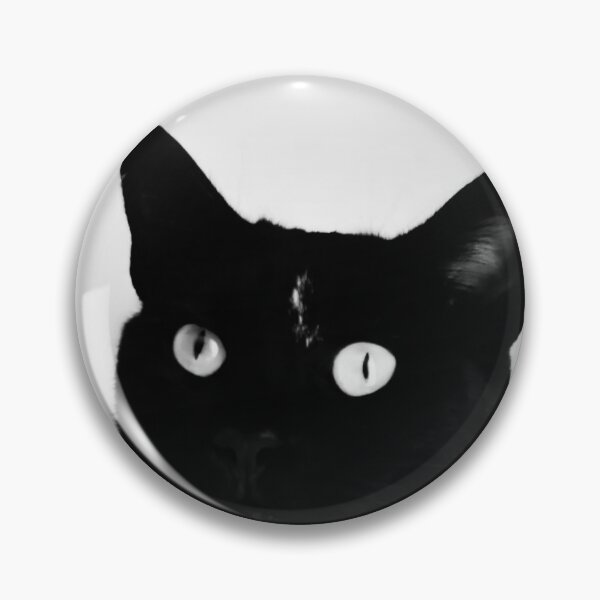 Item preview, A closeup of black cat designed and sold by PicHuang.