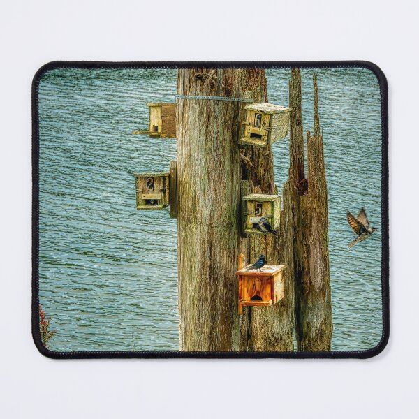 Item preview, Condos designed and sold by Steve Walser.