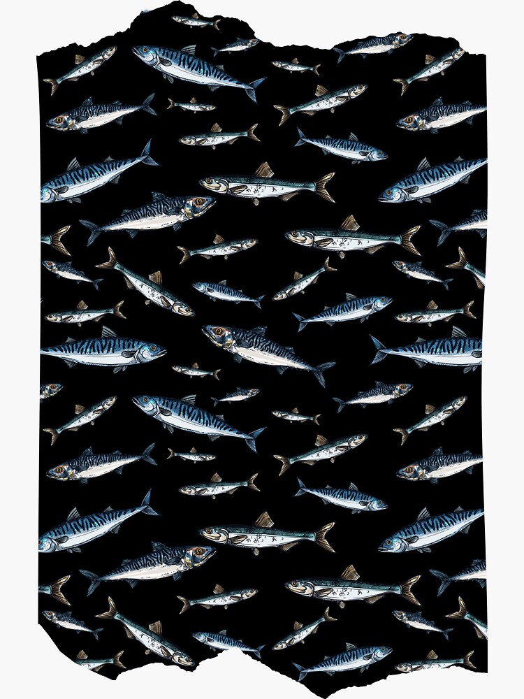"Mackerel pattern on black background Fish Sea Ocean Seafood