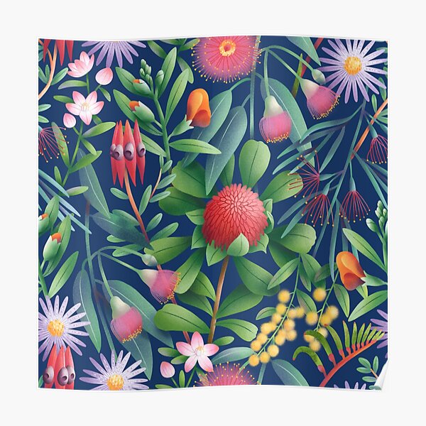 australian native flowers acacia beautiful flora seamless pattern Poster