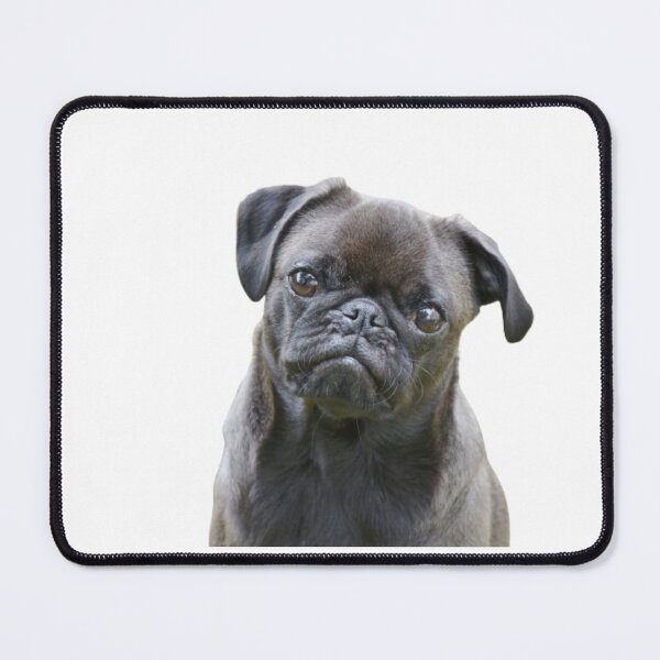 Item preview, ADORABLE PUG designed and sold by giantstep.