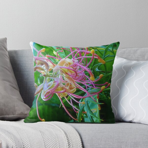 Item preview, Grevillea - Front Garden designed and sold by EdsMum.