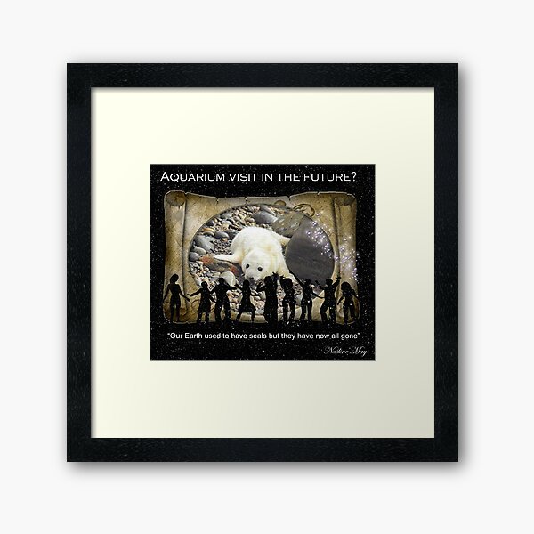 Baby Seal Framed Art Print