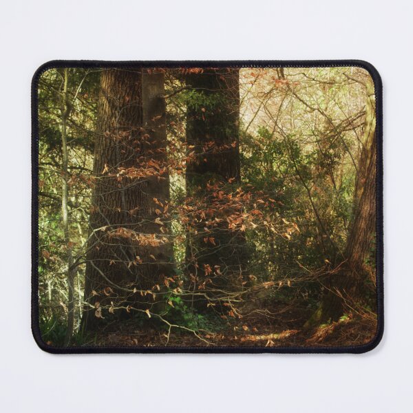 Item preview, Sunlight And Solitude designed and sold by Christine Lake.