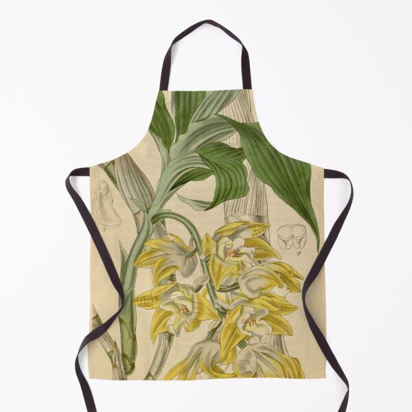 Item preview, Chysis aurea designed and sold by EsotericBotanic.
