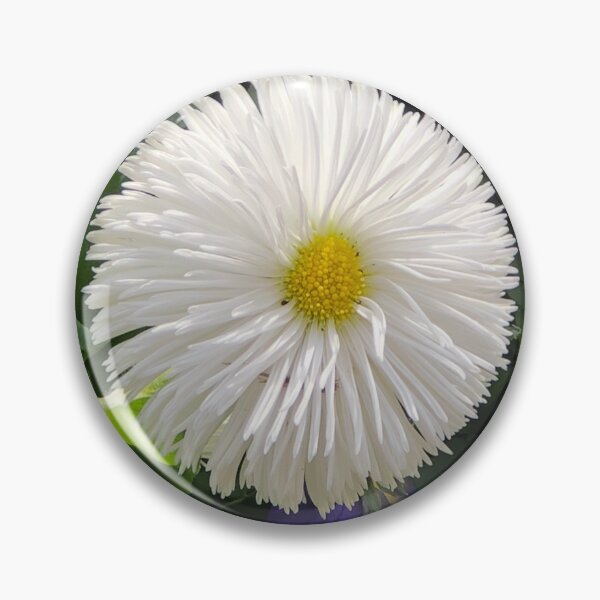 Item preview, White gerber Daisy  designed and sold by Creative photos and art.