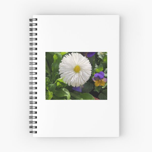 Item preview, White gerber Daisy  designed and sold by Creative photos and art.