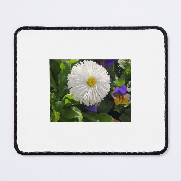 Item preview, White gerber Daisy  designed and sold by Creative photos and art.