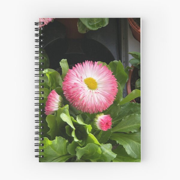 Item preview, Pink gerber daisy’s  designed and sold by Creative photos and art.
