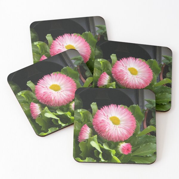 Item preview, Pink gerber daisy’s  designed and sold by Creative photos and art.