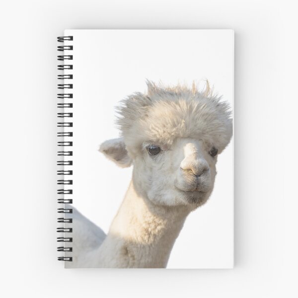 Item preview, Cute llama | adorable llama photo | beautiful alpaca designed and sold by tripanthias.