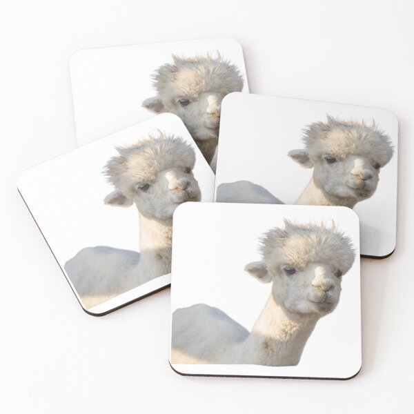 Item preview, Cute llama | adorable llama photo | beautiful alpaca designed and sold by tripanthias.