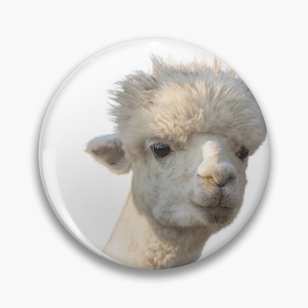Item preview, Cute llama | adorable llama photo | beautiful alpaca designed and sold by tripanthias.
