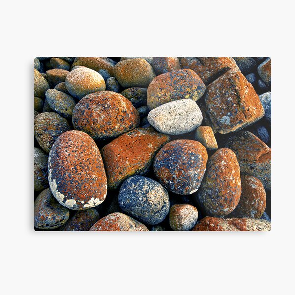 The Red Rocks Metal Print