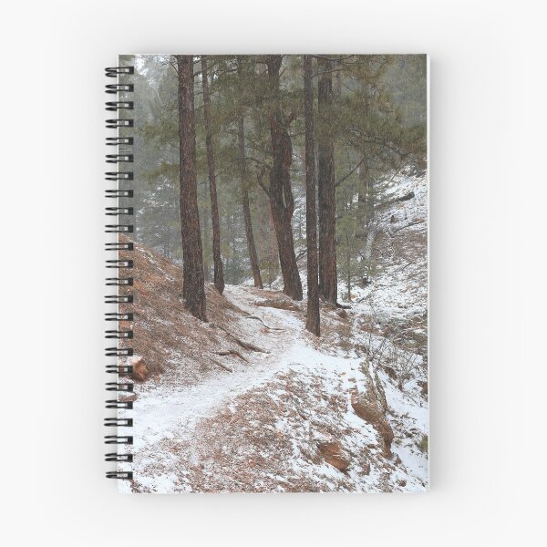 Item preview, Snowy forest trail designed and sold by zumi.