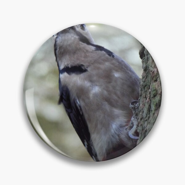 Item preview, woodpecker designed and sold by KathleenDawson.
