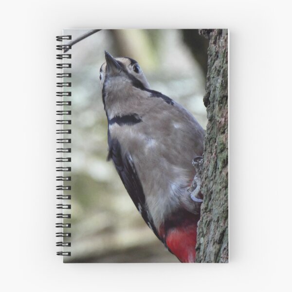Item preview, woodpecker designed and sold by KathleenDawson.