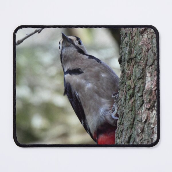 Item preview, woodpecker designed and sold by KathleenDawson.