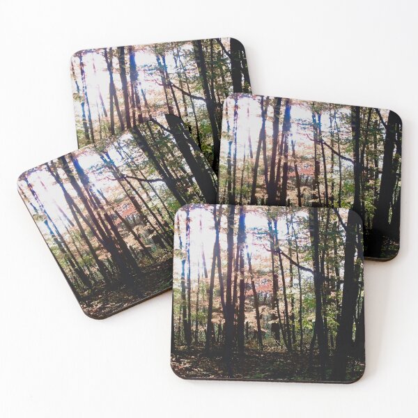 Item preview, Dark woods on the Beaver Trail, Ottawa, ON designed and sold by Shulie1.