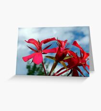 Flower power landscapephotocomp Greeting Card