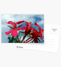 Flower power landscapephotocomp Postcards