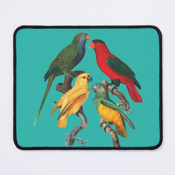Item preview, Four beautiful rainbow parrots designed and sold by AndreiMAG.