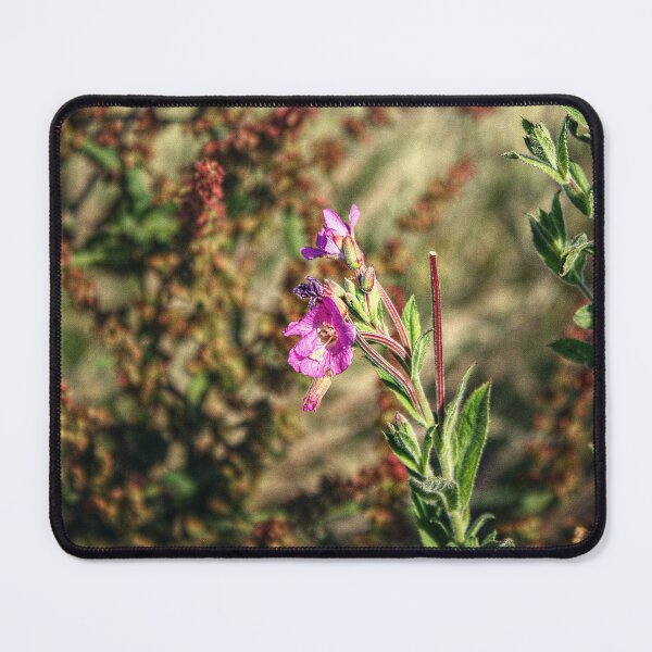 Item preview, Wildflower at the Battery designed and sold by SarahEL17.