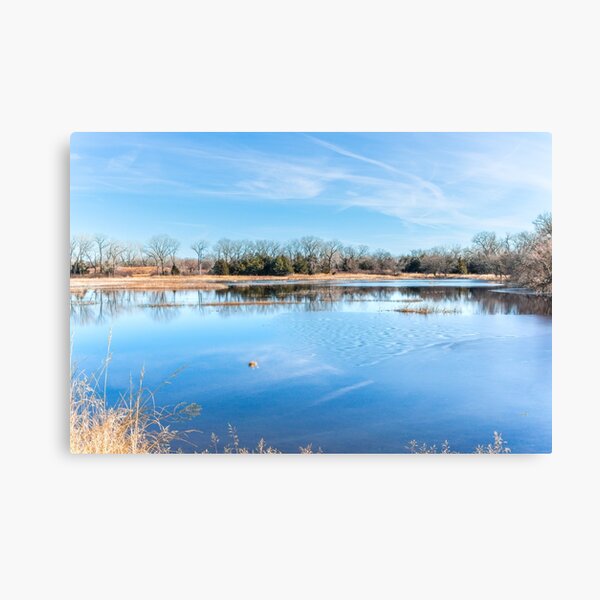 Item preview, Winter Blues Salt Plains National Wildlife Refuge by Debra Martz designed and sold by Debra Martz.