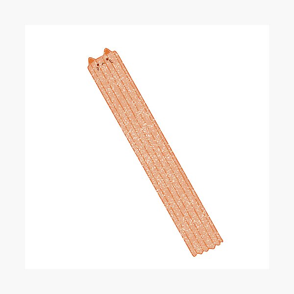 Churro Cat Photographic Print
