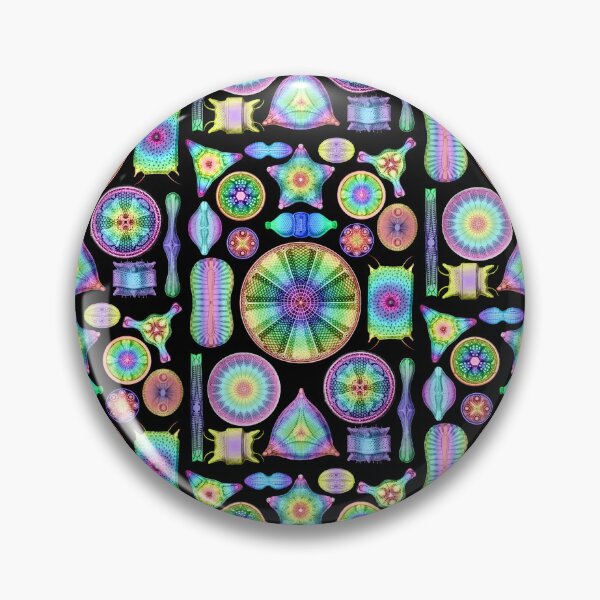 Item preview, Ernst Haeckel Rainbow Diatoms on Black designed and sold by aimeewilson.