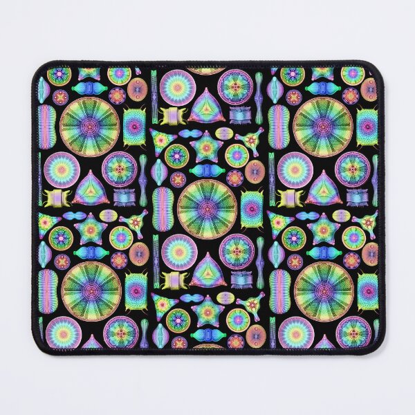 Item preview, Ernst Haeckel Rainbow Diatoms on Black designed and sold by aimeewilson.