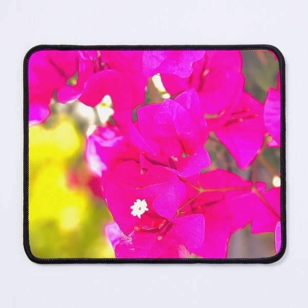 Item preview, Imperial Delight Flower from the Bahamas designed and sold by jennyblairarts.