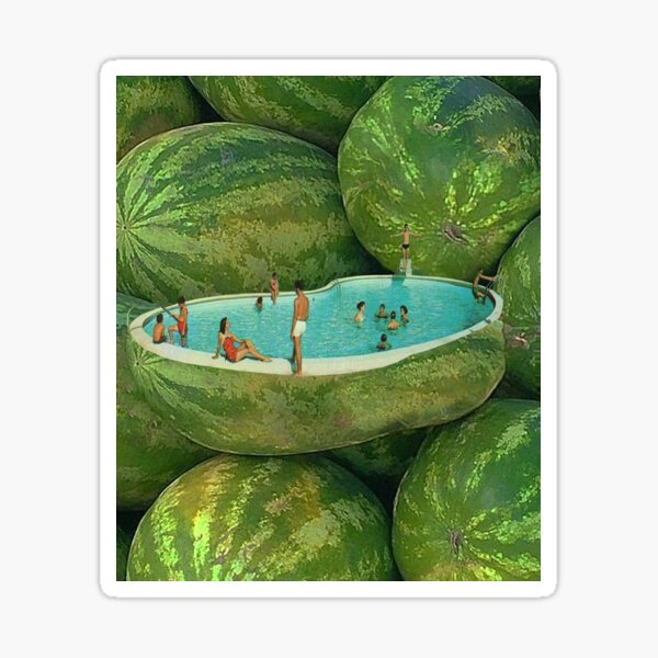 Watermelon Pool Sticker