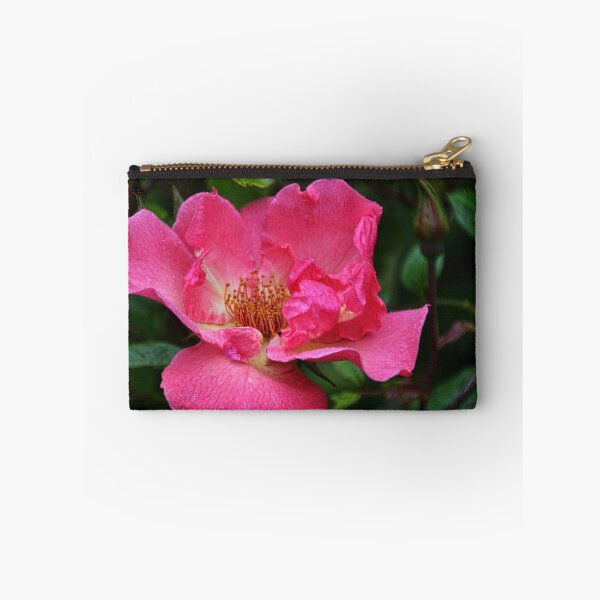 Aperçu de l'œuvre Rose des Cornouailles créée et vendue par lynn carter.