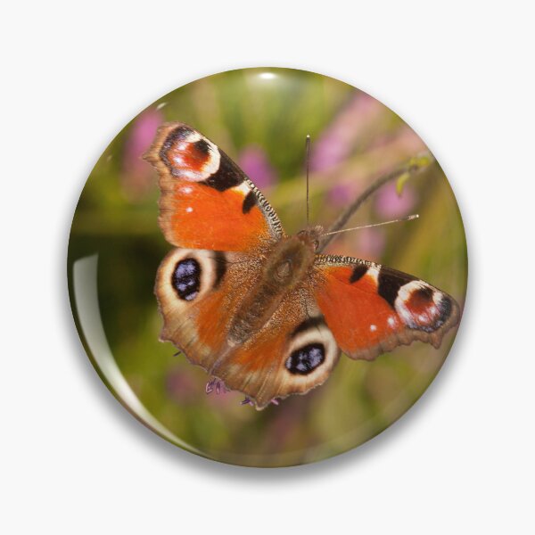 Item preview, Peacock Butterfly designed and sold by Jon Lees.