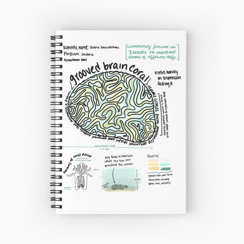 Grooved Brain Coral Anatomy Spiral Notebook for Sale by art-by-emlk